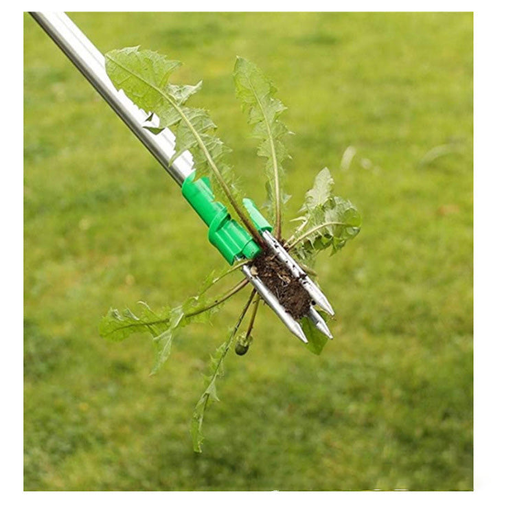 Two-Section Manual Weed Removal Tool